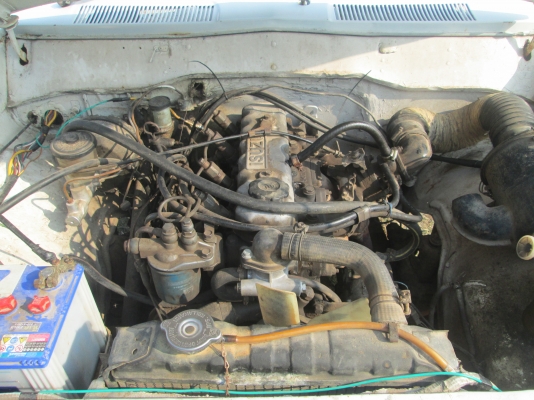 ช้างเหยียบ กะบะหัวเดียว พร้อมใช้พร้อมโอน