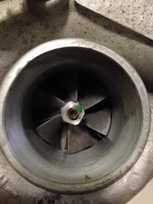 ขายหอยจ้า