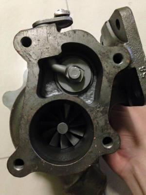 ขายหอยจ้า