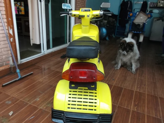 รถปีอป3ล้อ just 50cc เครื่องติดขี่ได้ปกติ เครืองดีมาก 8500 รถปีอป3ล้อ just 50cc เครื่องติดขี่ได้ปกติ เครืองดีมาก 8500