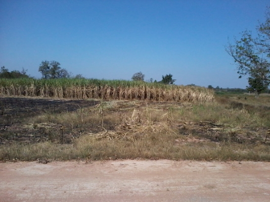 ขายที่ดินราคาถูก  8 ไร่ ราคา 220,000บาท/ไร่  ติดหมู่บ้าน ติดทางสาธารณะ  อ. สีคิ้ว