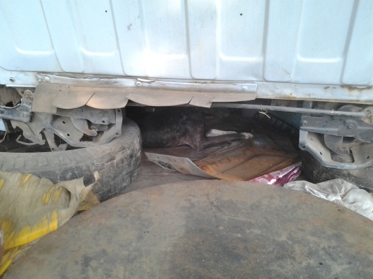 ขายตามสภาพหัวอีซูซุ110แท้มีอุปกรณ์ครบผุพื้นข้างหน้าตามสภาพ ขายตามสภาพหัวอีซูซุ110แท้มีอุปกรณ์ครบผุพื้นข้างหน้าตามสภาพ