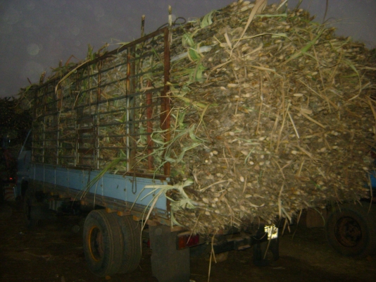 ฝากขาย KS 110 แรง บรรทุกออ้ย  ราคา 245,000 บาท