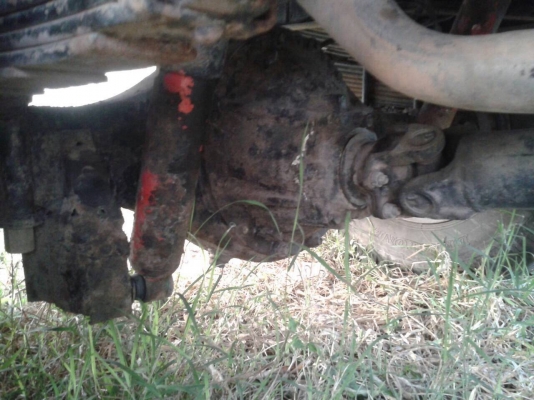 ขาย 6 ล้อ ISUZU NQR 130 ปี 48 กระบะยาว 5.50 เมตร สภาพพร้อมใช้งาน คัสซีสวยตลอดเส้น ทะเบียนพร้อมโอนครับ