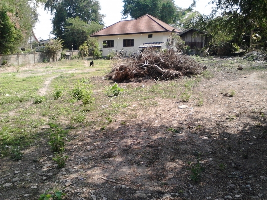 ขายที่ดิน  จังหวัดเชียงราย