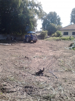 ขายที่ดิน  จังหวัดเชียงราย