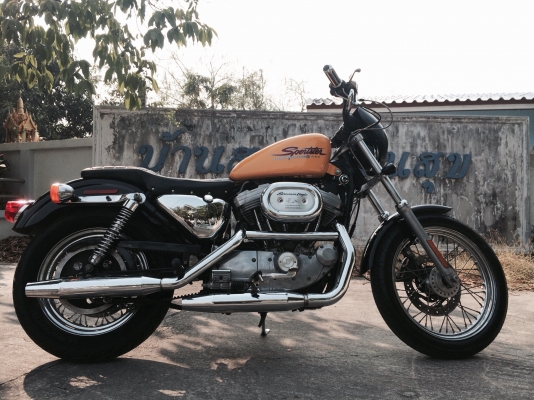 HD Sporter 883 สพมแท้