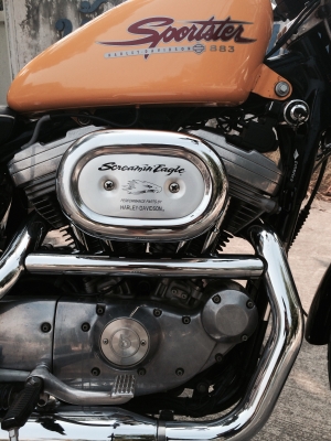 HD Sporter 883 สพมแท้