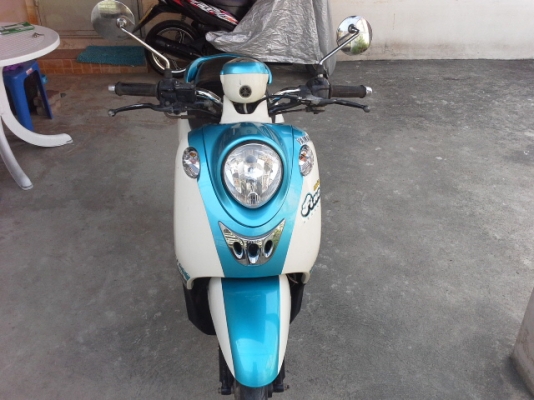 ขายฟีโน่สวยเดิมๆค่ะ ขายฟีโน่สวยเดิมๆค่ะ