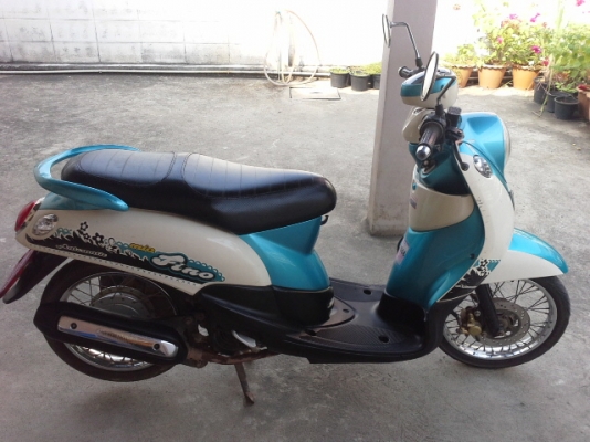 ขายฟีโน่สวยเดิมๆค่ะ ขายฟีโน่สวยเดิมๆค่ะ