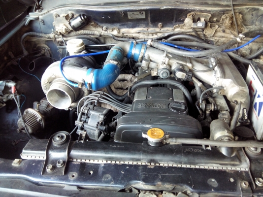 ขายโบ กาเรท AR65 แก่นแน่นๆ6000