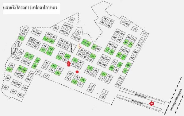 ขายแฟลตรังสิตซิตี้(แฟลตปลาทอง)