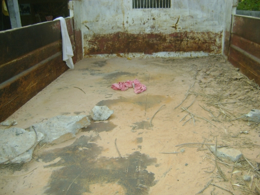 แคนเตอร์  115 แรง สโลกลาง ท้ายF  ราคา  350,000  บาท