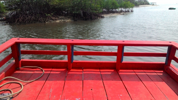 ขายเรือตกปลา ไดหมึก ขายเรือตกปลา ไดหมึก