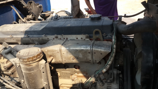 FRR 195  ตาหวาน ดั้มสวยๆ