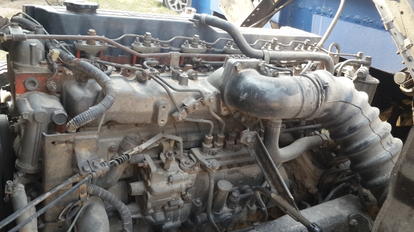 FRR 195  ตาหวาน ดั้มสวยๆ