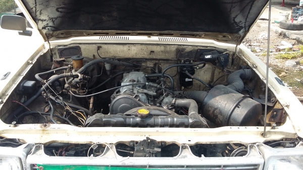 ขายรถโตโยต้า ม้ากระโดด ขายรถโตโยต้า ม้ากระโดด