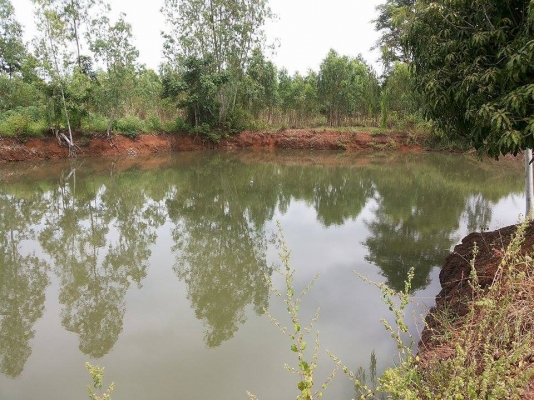 ขายที่ดิน