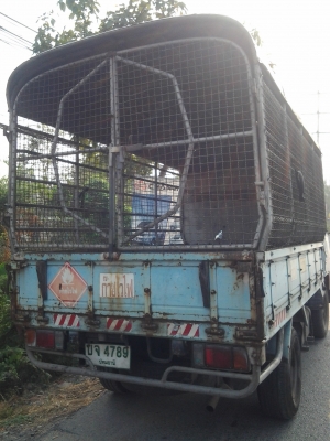 ISUZU NKR เครื่องแน่น สภาพสวย ทะเบียนป้ายเล็ก พร้อมวิ่งใช้งาน ISUZU NKR เครื่องแน่น สภาพสวย ทะเบียนป้ายเล็ก พร้อมวิ่งใช้งาน