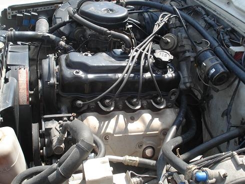 คาริเบียน