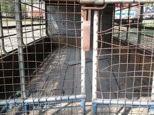 ขายกระบะNPR พร้อมคอกหลังคายาว4.30เมตร พื้นไม้สวย ต้งใหญ่ ทำสีเรียบร้อย