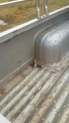 ขายถูก นิสสันบิ๊กเอ็ม ฝาแดง