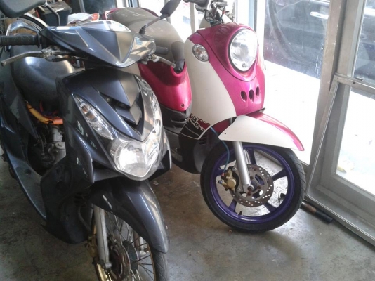 Mio115 ซื้อ ปี51 สวยๆล้อทอง +ฟีโน่ ปี 54 สวยๆ ล้อแมกซ์ จากศูนย์ ยามาฮ่า ขายรวม 2 คัน Mio115 ซื้อ ปี51 สวยๆล้อทอง +ฟีโน่ ปี 54 สวยๆ ล้อแมกซ์ จากศูนย์ ยามาฮ่า ขายรวม 2 คัน