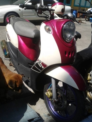 Mio115 ซื้อ ปี51 สวยๆล้อทอง +ฟีโน่ ปี 54 สวยๆ ล้อแมกซ์ จากศูนย์ ยามาฮ่า ขายรวม 2 คัน Mio115 ซื้อ ปี51 สวยๆล้อทอง +ฟีโน่ ปี 54 สวยๆ ล้อแมกซ์ จากศูนย์ ยามาฮ่า ขายรวม 2 คัน