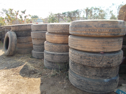 ประมูลยาง