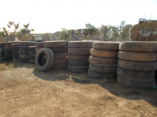 ประมูลยาง