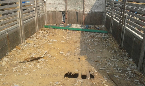 ขายกระบะพร้อมคอก ราคาถูก