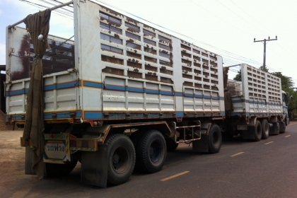 **HINO PROFIA เปิด 1,680,000 บ.ต่อรอง**ขาย HINO PROFIA-320 24ล้อพ่วง แม่+ลูก ดั้มเกษตร HINO PROFIA FN2KWE P11-C 320แรง ปี52 เครื่อง แรง แน่น เกียร์ดีไม่หลุด 7เกียร์เดินหน้า 2คานหน้า(ลงเล่ม) ช่วงล่างแน่นZM คัสซีสวย ไม่ปะไม่ดาม กระบะดั้มเหล็กคอกเกษตร อู รวม **HINO PROFIA เปิด 1,680,000 บ.ต่อรอง**ขาย HINO PROFIA-320 24ล้อพ่วง แม่+ลูก ดั้มเกษตร HINO PROFIA FN2KWE P11-C 320แรง ปี52 เครื่อง แรง แน่น เกียร์ดีไม่หลุด 7เกียร์เดินหน้า 2คานหน้า(ลงเล่ม) ช่วงล่างแน่นZM คัสซีสวย ไม่ปะไม่ดาม กระบะดั้มเหล็กคอกเกษตร อู รวม