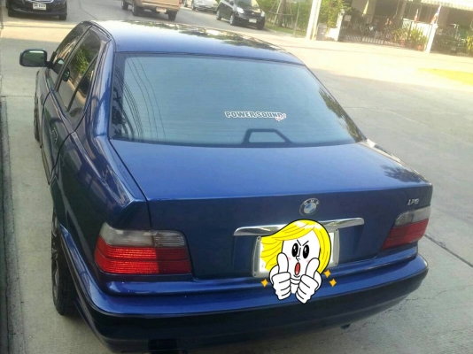 ขายนกแก้วสวยๆซักคันคาบ