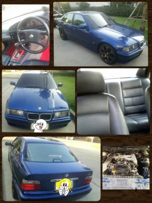 ขายนกแก้วสวยๆซักคันคาบ