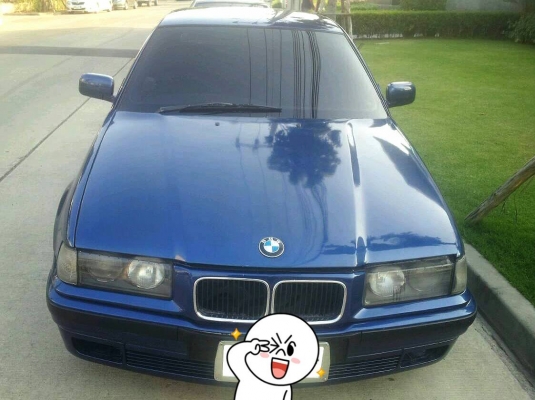 ขายนกแก้วสวยๆซักคันคาบ