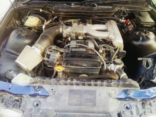 ขายนกแก้วสวยๆซักคันคาบ