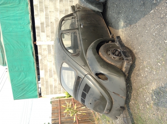 กะดองเต่า..ซุปเปอร์..หน้าโหนกกะจกโค้ง..แห้งๆบางๆไม่ผุของครบคับ.