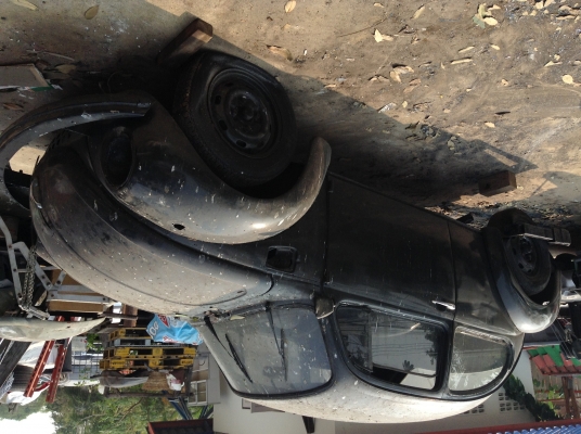 กะดองเต่า..ซุปเปอร์..หน้าโหนกกะจกโค้ง..แห้งๆบางๆไม่ผุของครบคับ. กะดองเต่า..ซุปเปอร์..หน้าโหนกกะจกโค้ง..แห้งๆบางๆไม่ผุของครบคับ.