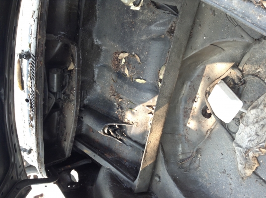 กะดองเต่า..ซุปเปอร์..หน้าโหนกกะจกโค้ง..แห้งๆบางๆไม่ผุของครบคับ. กะดองเต่า..ซุปเปอร์..หน้าโหนกกะจกโค้ง..แห้งๆบางๆไม่ผุของครบคับ.