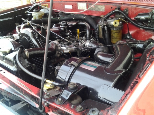 ไมตี้เอ็กหัวเดียว ไมตี้เอ็กหัวเดียว