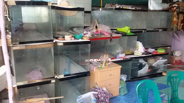 ขายเหมาตู้ปลา