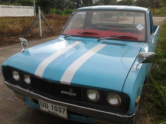 ขายช้างเหยียบ 4