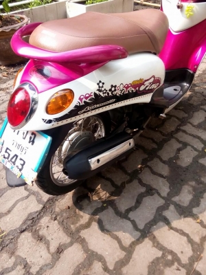 ขายถูกๆ fino เดิมๆ ปี51รถบ้านราคาประหยัด เล่มเอกสารครบ ขายถูกๆ fino เดิมๆ ปี51รถบ้านราคาประหยัด เล่มเอกสารครบ