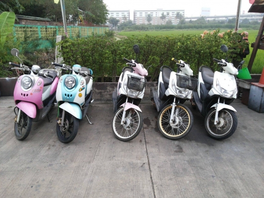 ขายไอค่อน9,900 ฟีโน่12,000 เอกสารพร้อมชุดโอน งดต่อ รถอยู่บางใหญ่ นนทบุรี สนใจโทร 084-3545593