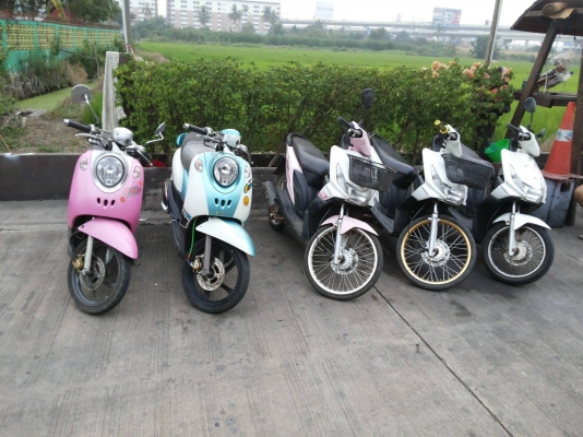 ขายไอค่อน9,900 ฟีโน่12,000 เอกสารพร้อมชุดโอน งดต่อ รถอยู่บางใหญ่ นนทบุรี สนใจโทร 084-3545593