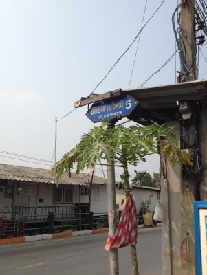 ขายที่50วาลำลูกกาคลอง3