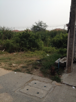 ขายที่50วาลำลูกกาคลอง3 ขายที่50วาลำลูกกาคลอง3