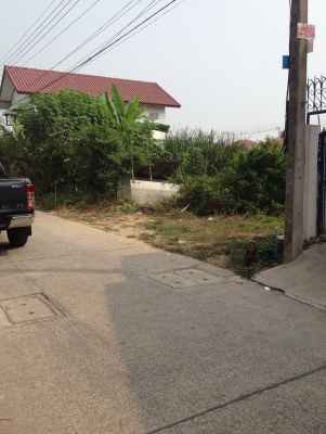 ขายที่50วาลำลูกกาคลอง3 ขายที่50วาลำลูกกาคลอง3