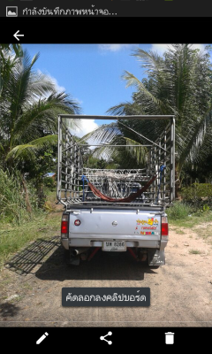 ขายนิสสัน เครือง 2700 กระบะเพลาลอยพร้อมคอก ขายนิสสัน เครือง 2700 กระบะเพลาลอยพร้อมคอก