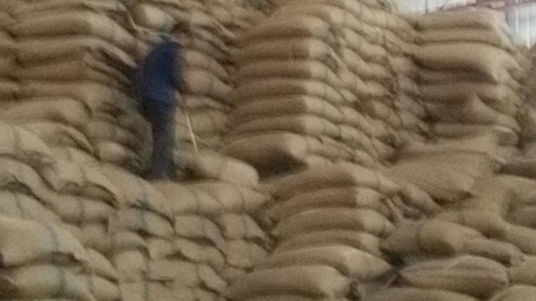 ขายกระสอบป่าน ขนาด 100 กิโลกรัม มีไม่ต่ำกว่า 5 ล้านใบ ราคาใบละ 5 บาท